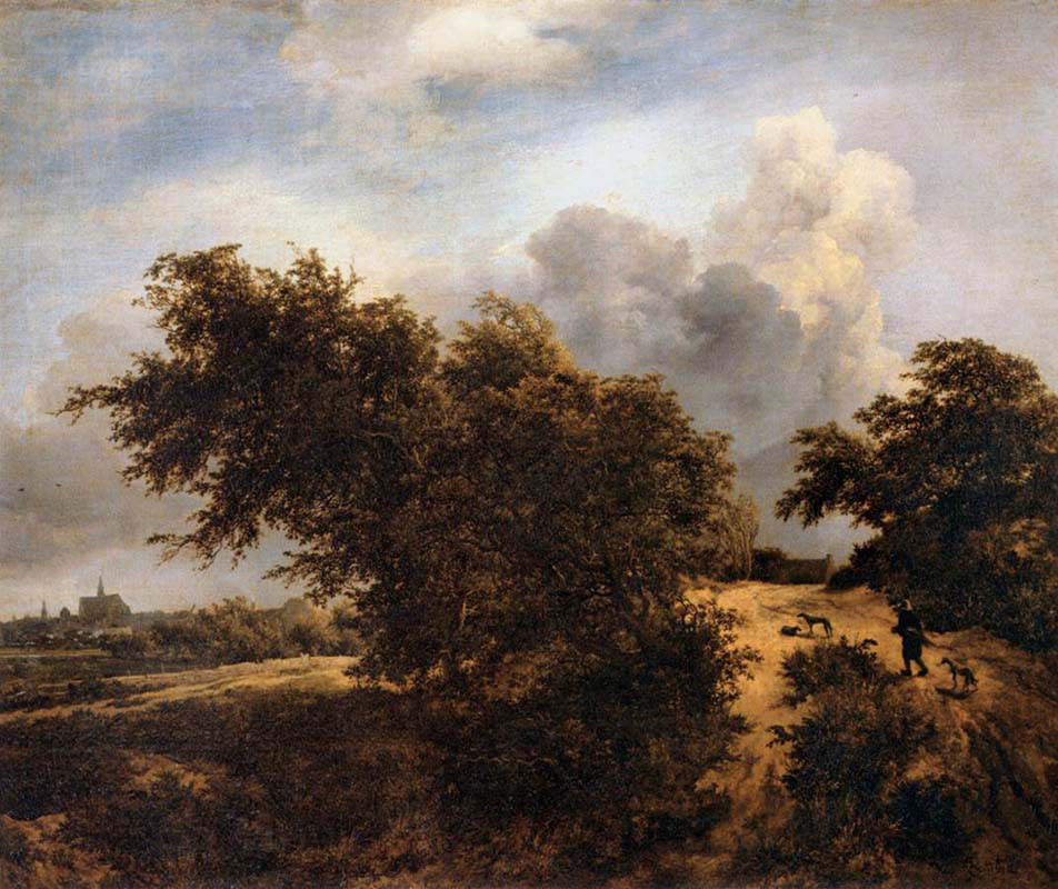 The Thicket-Path in the Haarlem Dunes